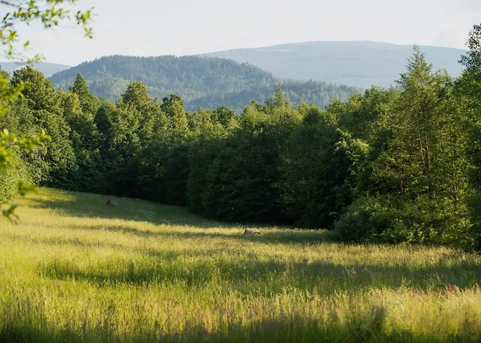 Górnolotnie Koło Karpacza *