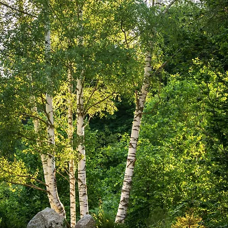 Vakantieboerderij Gornolotnie Kolo Karpacza *